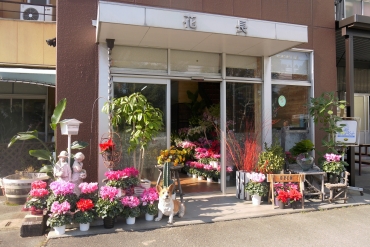 「花長」　（三重県四日市市）の花屋店舗写真1